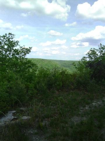 Land in Fentress County, Tennessee