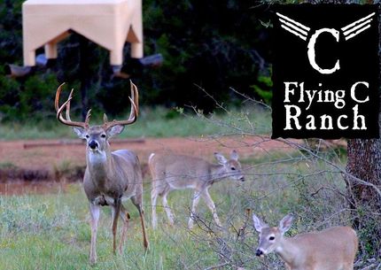 Farm and Ranch in Mills County, Texas