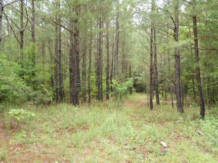 Land in Union County, Mississippi