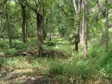 Farm and Ranch in Hays County, Texas