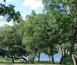 Homesite in Burnet County, Texas