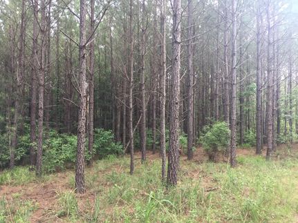 Recreational Property in Copiah County, Mississippi