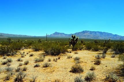Horse Property in Mohave County, Arizona