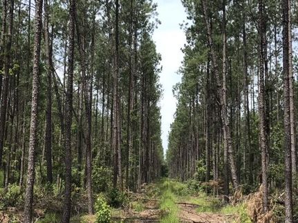 Horse Property in Dorchester County, South Carolina