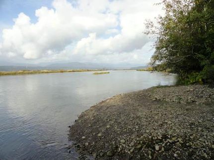 Recreational Property in Mason County, Washington