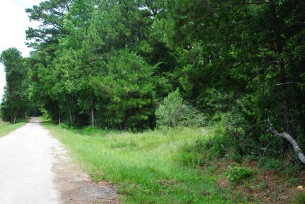 Timberland Property in Liberty County, Texas