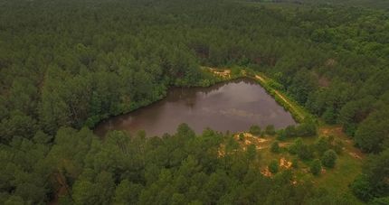 Timberland Property in Chester County, South Carolina