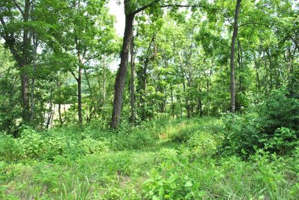 Farm and Ranch in Montgomery County, Virginia