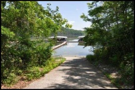 Timberland Property in Hawkins County, Tennessee