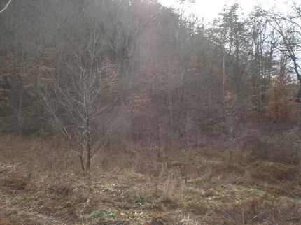 Farm and Ranch in Hancock County, Tennessee