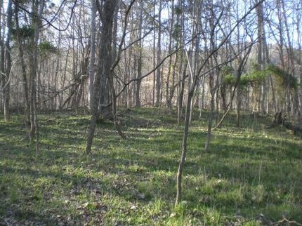 Farm and Ranch in Hawkins County, Tennessee