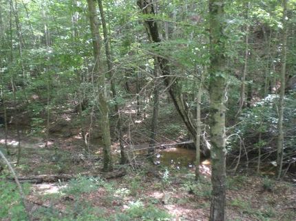 Farm and Ranch in Grainger County, Tennessee