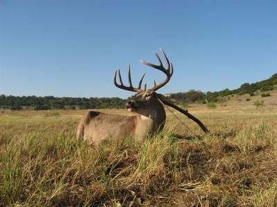 Farm and Ranch in Lampasas County, Texas