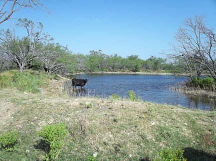 Undeveloped Land in Hamilton County, Texas
