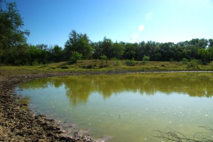 Farm and Ranch in Bee County, Texas