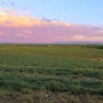 Farm and Ranch in Yellowstone County, Montana