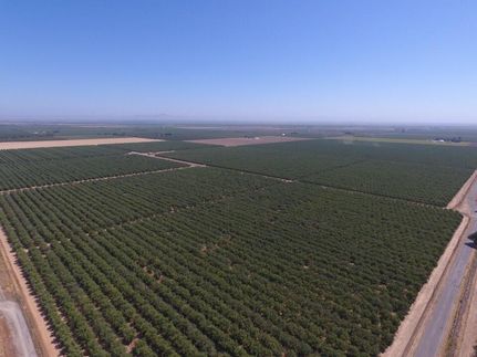 Farm and Ranch in Colusa County, California