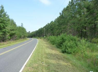 Farm and Ranch in Orangeburg County, South Carolina