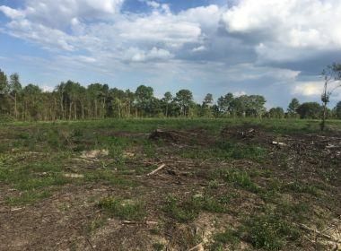 Land in Decatur County, Georgia