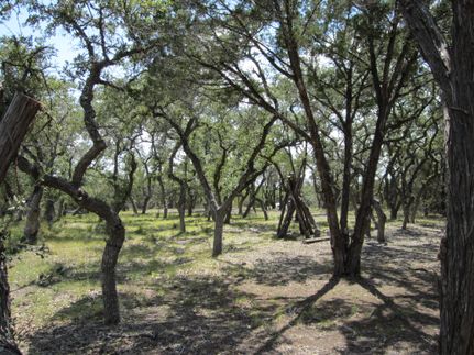 Farm and Ranch in Hays County, Texas