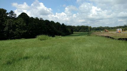 Timberland Property in Wilkes County, Georgia