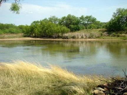 Farm and Ranch in Callahan County, Texas