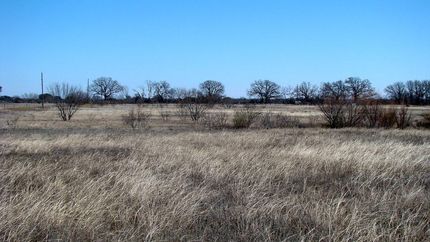 Farm and Ranch in Callahan County, Texas