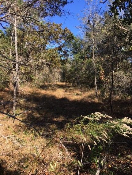 Land in Hernando County, Florida