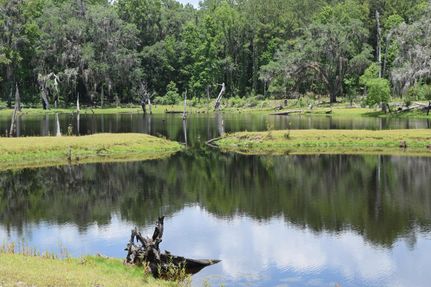 Commercial Property in Hernando County, Florida