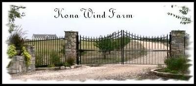 Recreational Property in Bell County, Texas