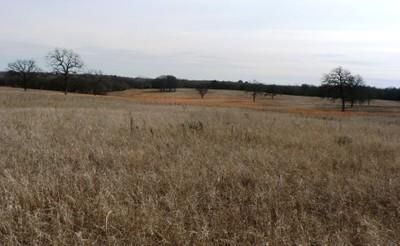 Farm and Ranch in Milam County, Texas