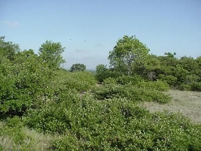 Farm and Ranch in Brown County, Texas