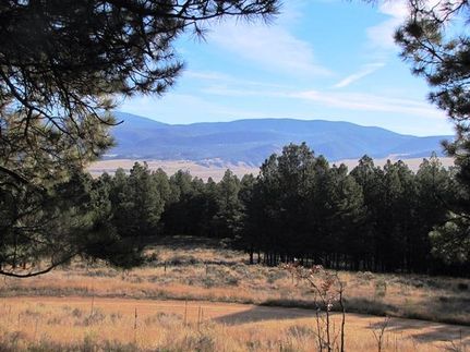 Land in Colfax County, New Mexico