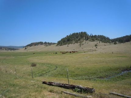 Farm and Ranch in Wheatland County, Montana