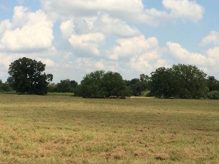 Farm and Ranch in Austin County, Texas