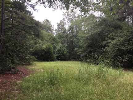 Recreational Property in Lee County, Alabama