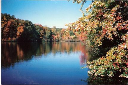 Land in Charlotte County, Virginia