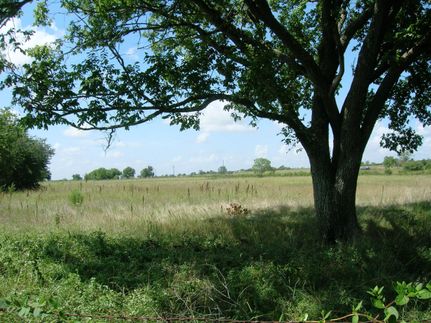 Farm and Ranch in Austin County, Texas