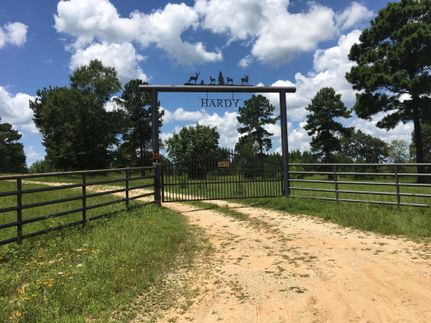 Undeveloped Land in Houston County, Texas