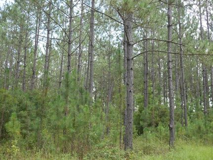 Recreational Property in Bulloch County, Georgia