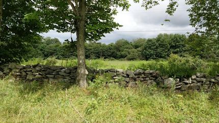 Farm and Ranch in Chenango County, New York