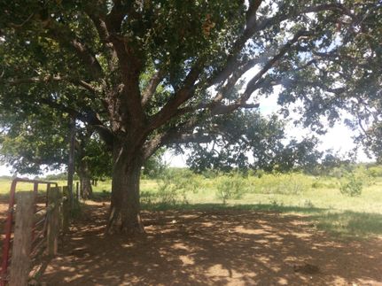 Recreational Property in Lee County, Texas