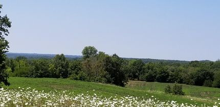 Farm and Ranch in Ralls County, Missouri