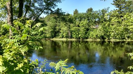 Land in Rusk County, Wisconsin
