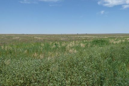 Farm and Ranch in Finney County, Kansas