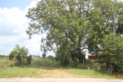 Timberland Property in Marshall County, Mississippi