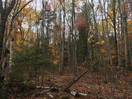 Farm and Ranch in Franklin County, New York