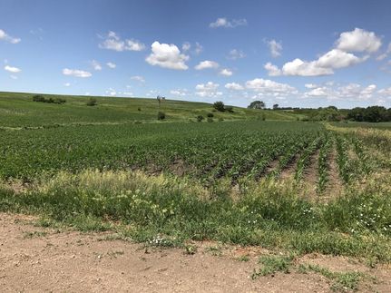 Farm and Ranch in Butler County, Nebraska