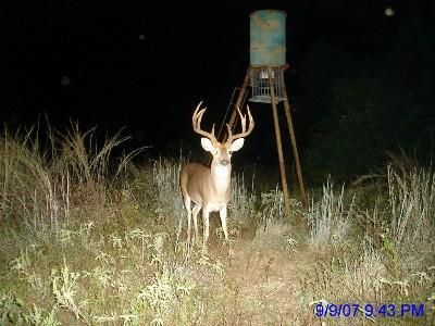 Farm and Ranch in Comanche County, Texas