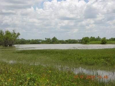 Farm and Ranch in Coleman County, Texas